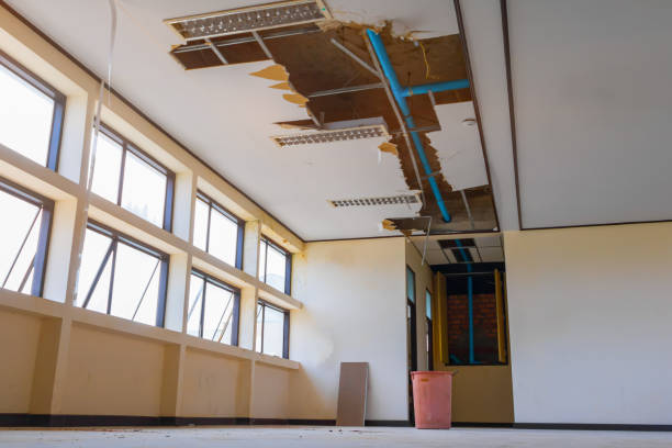 Best Water damage restoration company  in Fort Worth, TX
