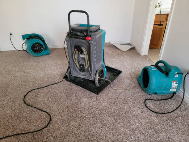 Best Flooded house restoration  in Fort Worth, TX