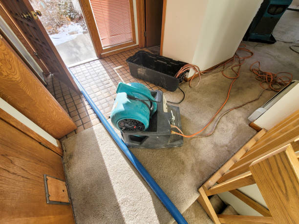 Best Flood damage cleanup  in Fort Worth, TX