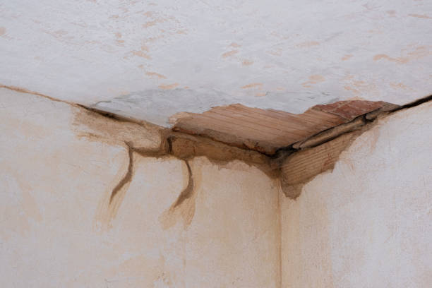 Best Sewage cleanup and water damage restoration  in Fort Worth, TX