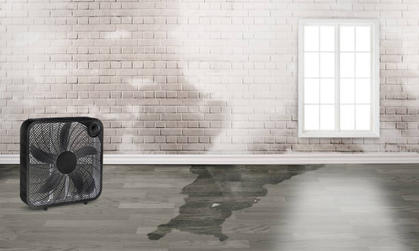 Best Water damage restoration experts  in Fort Worth, TX
