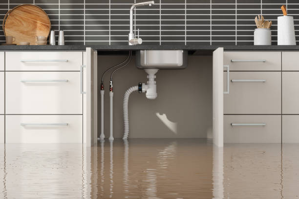 Best Water damage mitigation services  in Fort Worth, TX